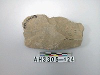 藏品(中型舌刃打製石斧)的圖片